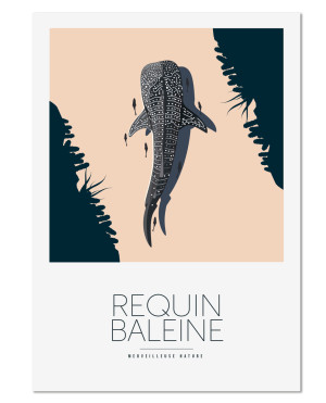 baleine