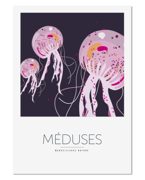 meduses