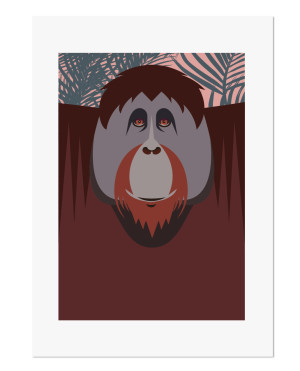 orangutan