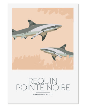 requin