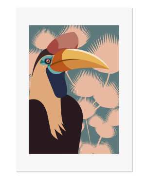 toucan